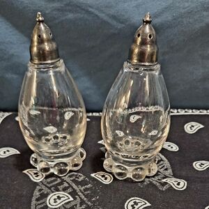 Elegant Glass Salt and Pepper Shakers